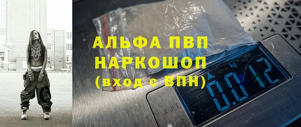 СК Белокуриха