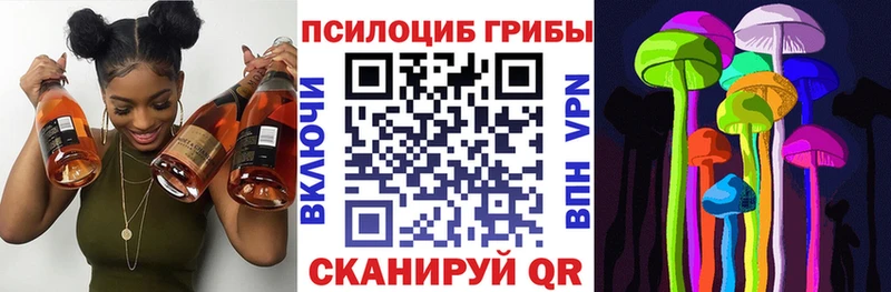 Галлюциногенные грибы Magic Shrooms  дарнет шоп  Щучье 